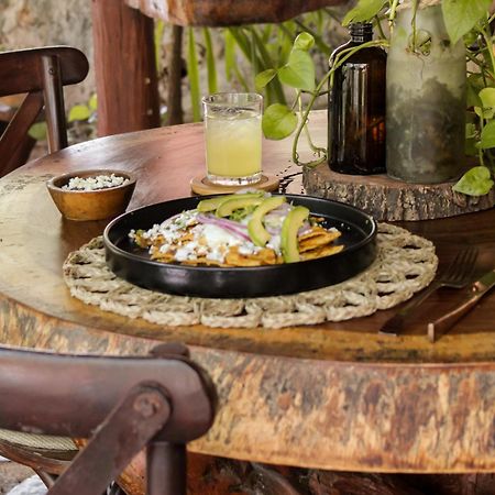 Anand Ecoaldea Villa Puerto Morelos Buitenkant foto