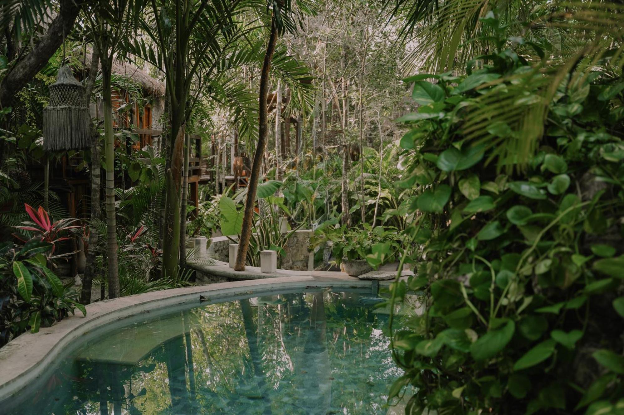 Anand Ecoaldea Villa Puerto Morelos Buitenkant foto